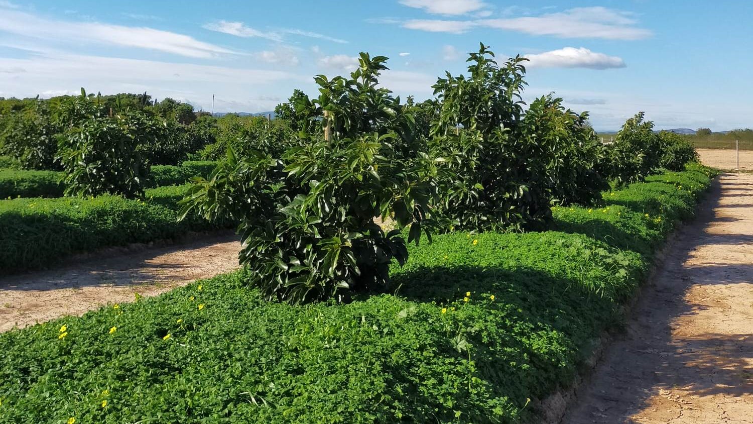 Ana Quiñones proyecto Agufert|Ana Quiñones 1|Ana Quiñones 2